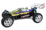 Radio Controlled 1:8 Scale Nitro Powered 4WD 4860 Blackbird Buggy