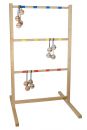 Spin Ladder