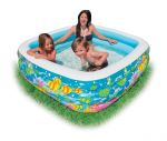 Clearview Aquarium Pool