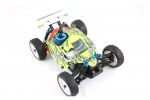 Radio Controlled 1:16 Nitro Buggy 8116 - Trojan Green