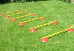 Agility Hurdle Cone Set 2"