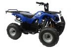 Condor 110cc 4 Stroke Quad Bike - Blue