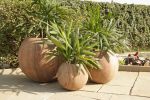 Hydrus Rainbow Planter / Water Feature