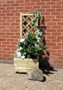 Bella Rosa Planter