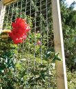 Brooklyn Galvanised Trellis Panel