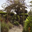 Kyre Arch