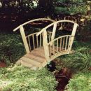 Ornamental Bridge with 2 Handrails