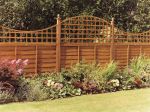 Fence Post 50 x 50mm Brown