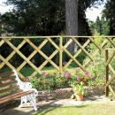 Rustic Trellis