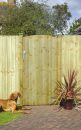 T&G Ledged and Braced Gate