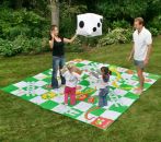 Giant Snakes and Ladders