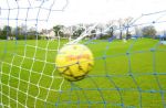 Goal Net - Full Size Striped Pair