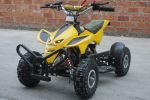 Mini Quadard Quad Bike Yellow 49cc