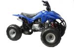 Storm Trooper 110cc 4 Stroke Quad Bike - Blue