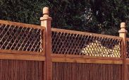 Willow Trellis