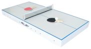Riley 2-in-1 Table Tennis Top