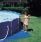 Intex Pool Maintenance Kit