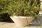 Catinus Beige Planter / Water Feature