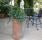 Fidelia Rainbow Planter / Water Feature