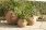 Hydrus Rainbow Planter / Water Feature