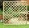 Elite Lattice Trellis
