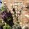 Elite Square Wall Trellis