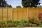Grange Lap Fence Panel 