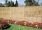 Professional Lap Green Fence Panel