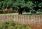 Hazel Fence Panel