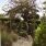 Kyre Arch