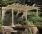 Lean-To Pergola