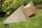 Elite Timber Fence 'H' Post