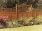 Fence Post 50 x 50mm Brown