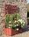 Rosa Planter