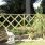 Rustic Trellis