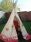 Wigwam