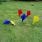 Garden Darts