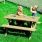 Traditional Picnic Set