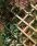 Elite Lattice Wall Trellis Unframed