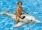 Dolphin Pool Inflatable