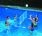 Swimming Pool Super Volleyball Game