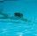 Swimming Pool Deluxe Slalom Hoops