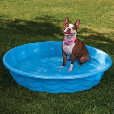 rigid side paddling pool