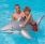 Great White Shark Rider Pool Inflatable
