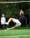 Soccer Goal 200