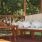Furniture For Gazebos