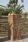 Caelum Rainbow Planter / Water Feature