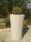 Lacerta Beige Planter / Water Feature