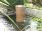 Lacerta Rainbow Planter / Water Feature