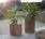 Quadra Rainbow Planter / Water Feature